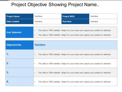 Project objective showing project name with goal statements