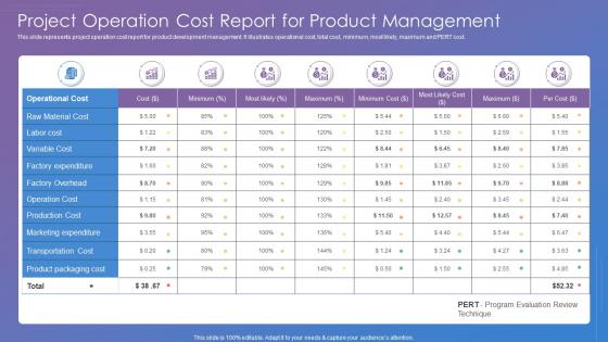 Project Operation Cost Report For Product Management