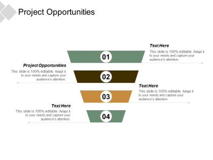 Project opportunities ppt powerpoint presentation pictures design inspiration cpb