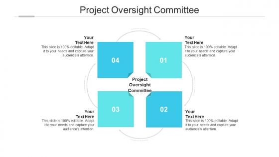 Project oversight committee ppt powerpoint presentation visual aids diagrams cpb