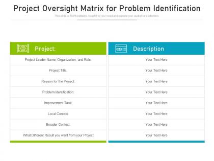 Project oversight matrix for problem identification