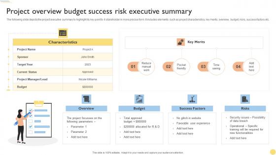 Project Overview Budget Success Risk Executive Summary