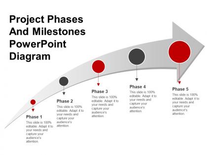 Project phases and milestones powerpoint diagram