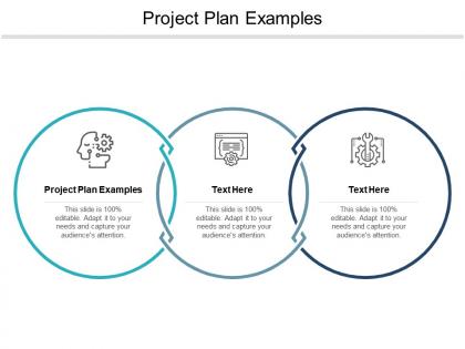 Project plan examples ppt powerpoint presentation ideas graphics cpb
