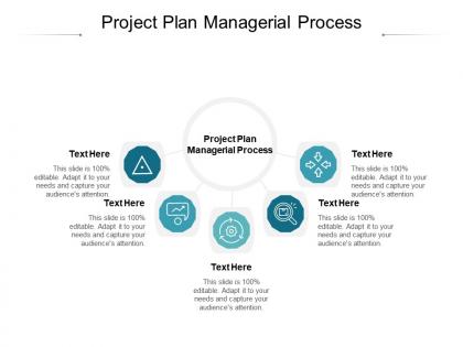 Project plan managerial process ppt powerpoint presentation professional introduction cpb