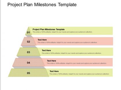 Project plan milestones template ppt powerpoint presentation infographic template model cpb