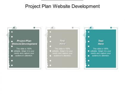 Project plan website development ppt powerpoint presentation portfolio guide cpb