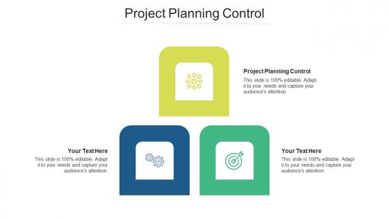Project planning control ppt powerpoint presentation model designs cpb