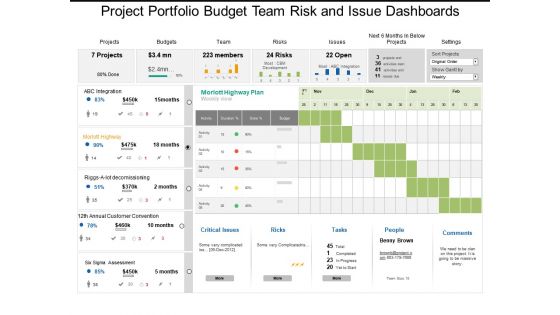 Project portfolio budget team risk and issue dashboards