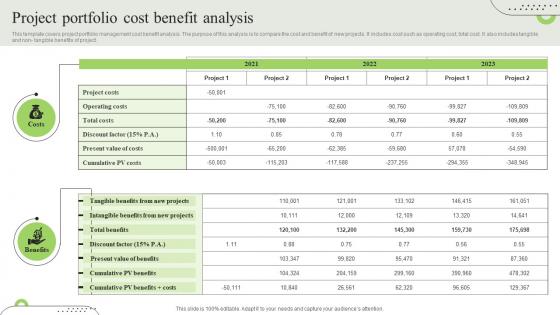 Project Portfolio Cost Benefit Analysis