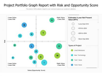 Project portfolio graph report with risk and opportunity score