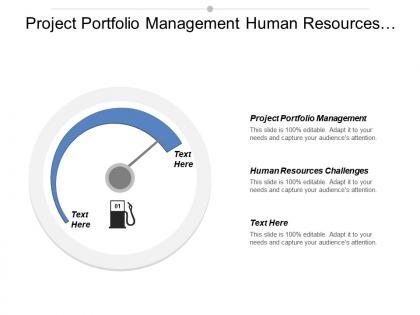 Project portfolio management human resources challenges sales training cpb
