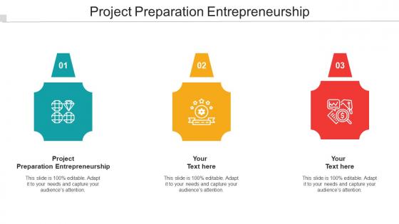 Project Preparation Entrepreneurship Ppt Powerpoint Presentation File Cpb