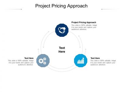 Project pricing approach ppt powerpoint presentation professional influencers cpb