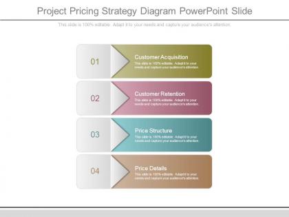 Project pricing strategy diagram powerpoint slide