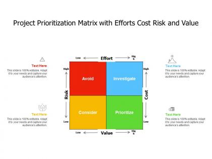 Project prioritization matrix with efforts cost risk and value