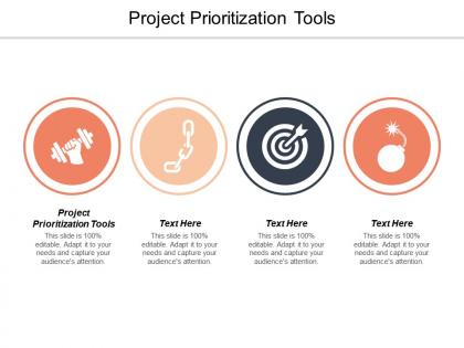 Project prioritization tools ppt powerpoint presentation portfolio brochure cpb