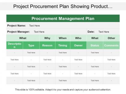 Project procurement plan showing product description type status and comments
