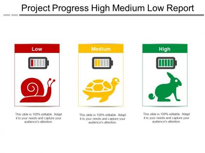 Project progress high medium low report