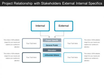 Project relationship with stakeholders external internal specifics