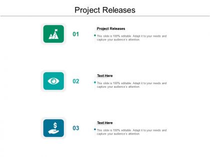 Project releases ppt powerpoint presentation file example cpb