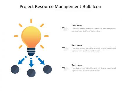 Project resource management bulb icon