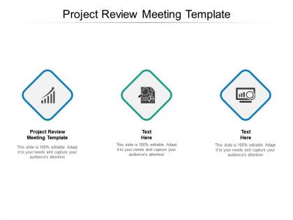 Project review meeting template ppt powerpoint presentation layouts tips cpb