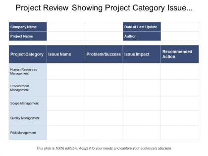 Project review showing project category issue name problem impact action
