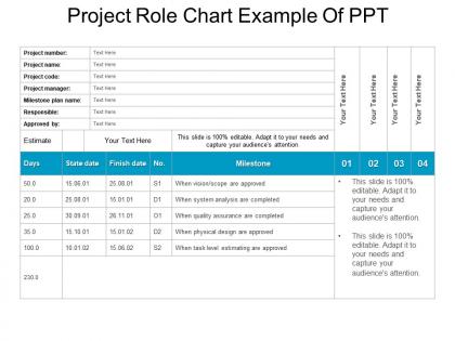 Project role chart example of ppt