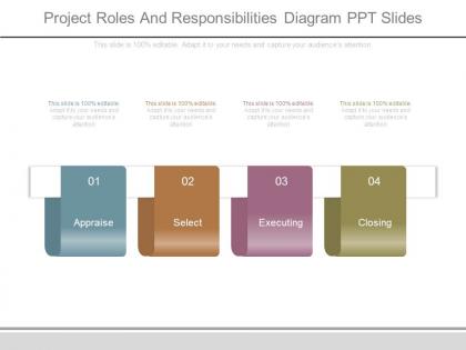 Project roles and responsibilities diagram ppt slides