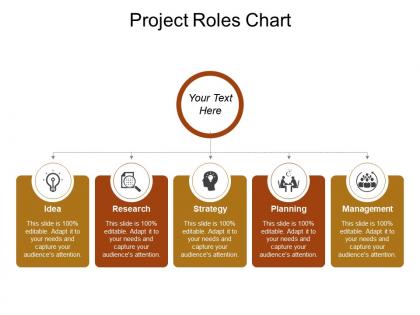 Project roles chart sample of ppt presentation