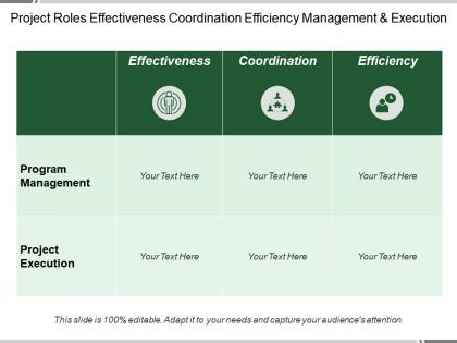 Project roles effectiveness coordination efficiency management and execution