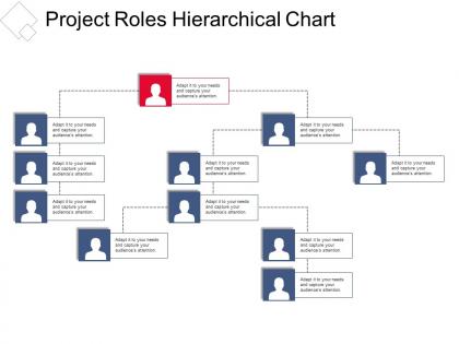 Project roles hierarchical chart presentation portfolio