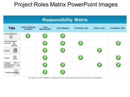 Project roles matrix powerpoint images