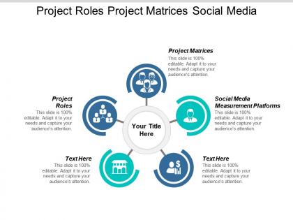 Project roles project matrices social media measurement platforms cpb