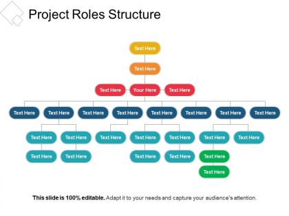 Project roles structure sample ppt files
