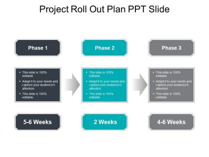 Project roll out plan ppt slide