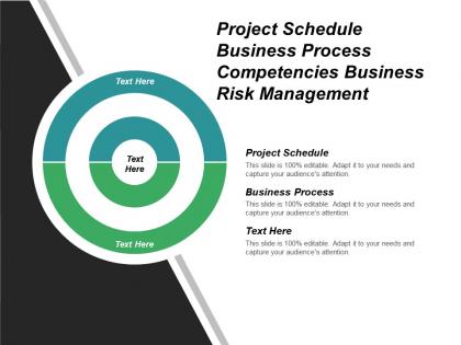 Project schedule business process competencies business risk management cpb
