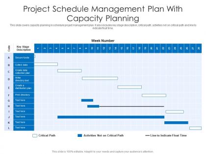 Project schedule management plan with capacity planning