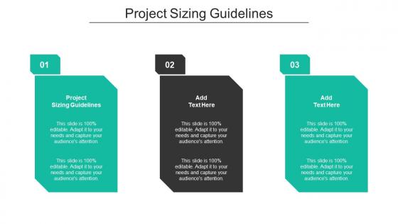 Project Sizing Guidelines Ppt Powerpoint Presentation Professional Design Ideas Cpb