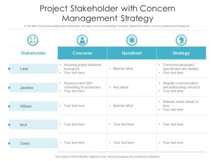Project stakeholder with concern management strategy