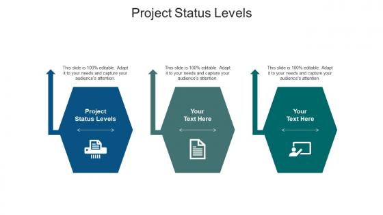Project status levels ppt powerpoint presentation portfolio template cpb