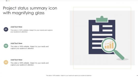 Project Status Summary Icon With Magnifying Glass