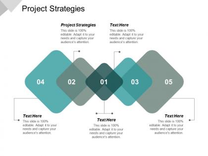 Project strategies ppt powerpoint presentation file microsoft cpb