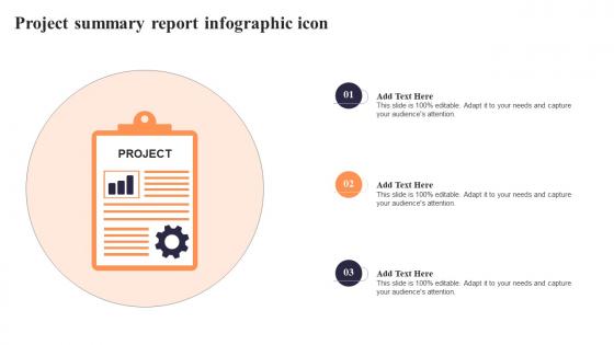 Project Summary Report Infographic Icon