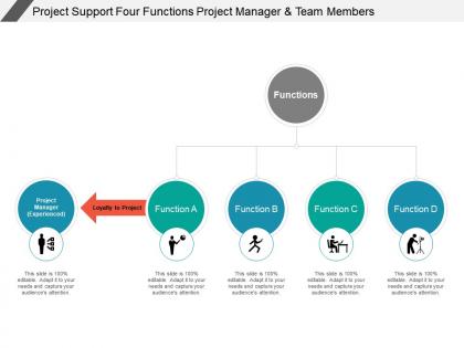 Project support four functions project manager and team members