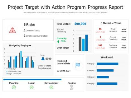 Project target with action program progress report