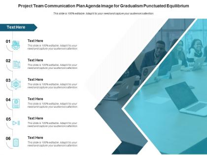 Project team communication plan agenda image for gradualism punctuated equilibrium infographic template