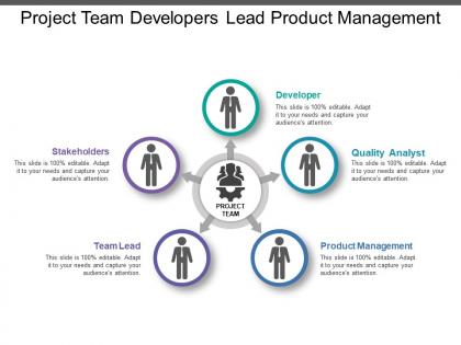Project team developers lead product management