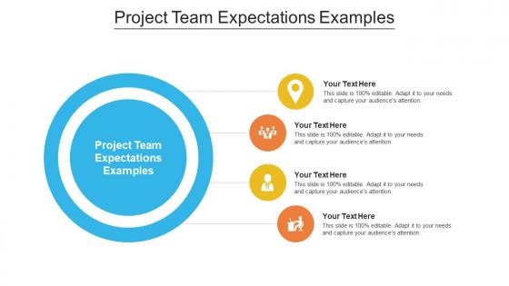 Project team expectations examples ppt powerpoint presentation file slides cpb